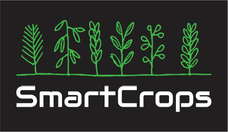 SmartCrops
